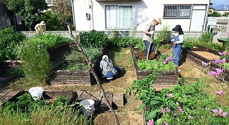 エディブルガーデンラボ