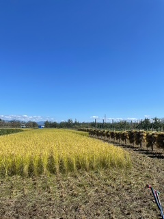 1,空庵